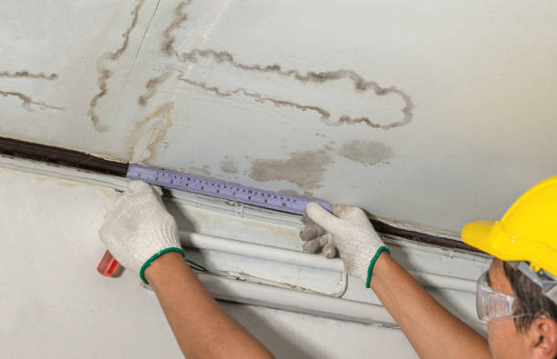 Reliable Water Damage contractor in Weehawken, NJ by Water Damage Irwin